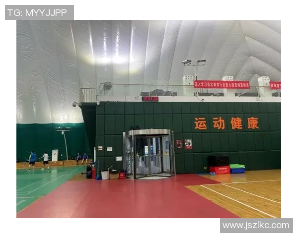 南京羽毛球队中路突破的成功与不足分析及未来发展建议