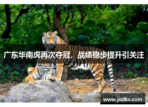 广东华南虎再次夺冠，战绩稳步提升引关注